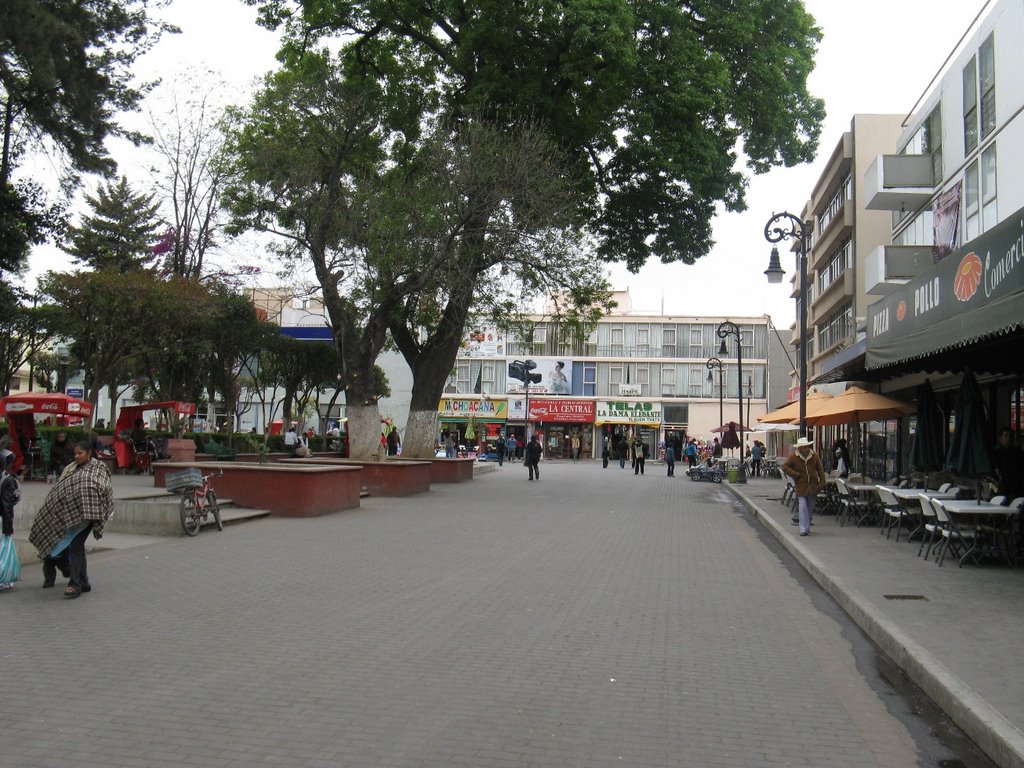 Floresta